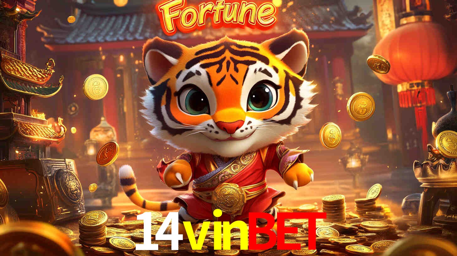Descubra a Essência do 14vinbet: Nossa História e Compromissos