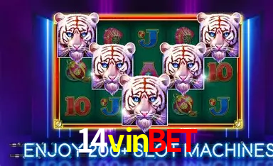 14vinbet Cassino Ao Vivo - 89 Mesas Evolution Gaming